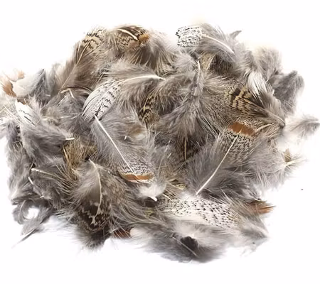 Grey Partridge Loose Feathers Pack Natural