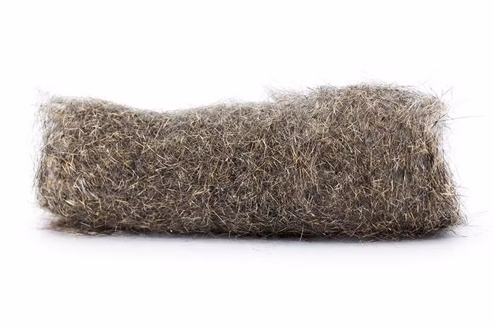 Troutline Pure Squirrel Dubbing