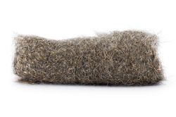 Troutline Pure Squirrel Dubbing