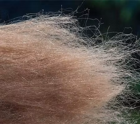 Troutline Kapok Dubbing