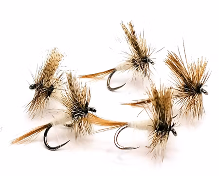 American March Brown Ljus