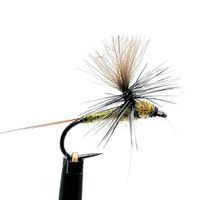 Dagslända Dun Golden Olive
