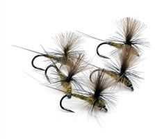 Dagslända Dun Golden Olive