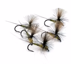 Dagslända Dun Golden Olive