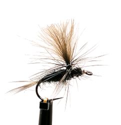Dagslända Dun Black