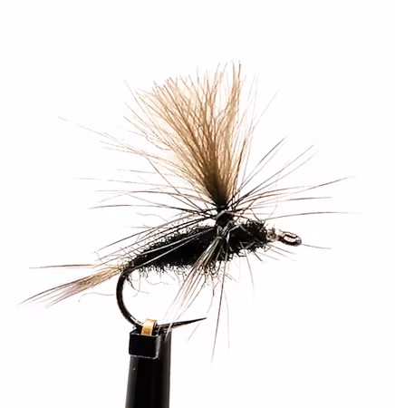 Dagslända Dun Black