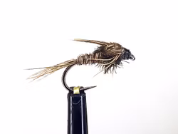 Pheasant tail