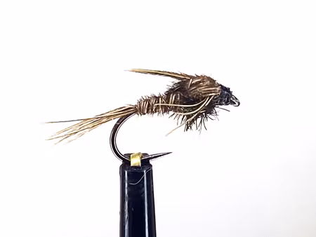 Pheasant tail