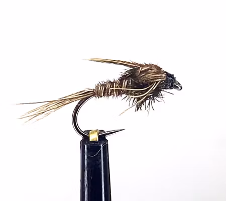 Pheasant tail
