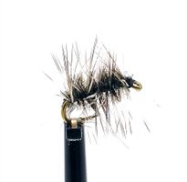 Griffith Gnat #16