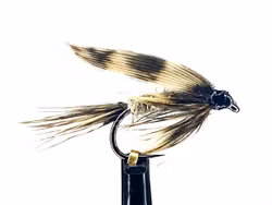 March Brown