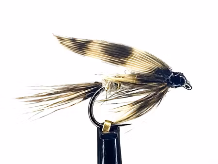 March Brown