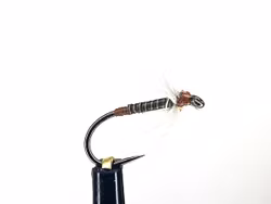 Steel Blue Quill