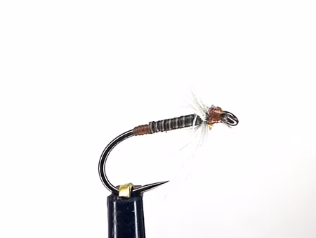 Steel Blue Quill