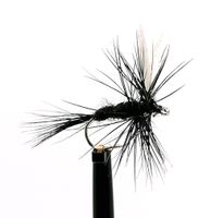 Black Gnat #14