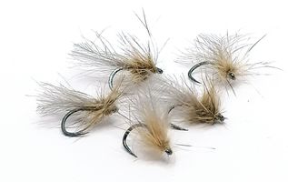 LC Fluttering Caddis #16