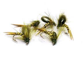 Kläckare Light Olive