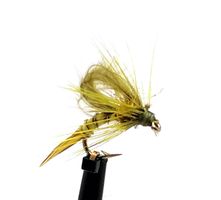 Kläckare Light Olive