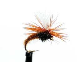 Klinkhammer Brun #14