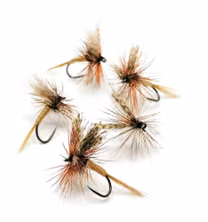 American March Brown tunn