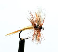 American March Brown tunn