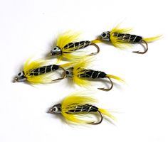 Black and Yellow # 8