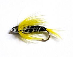 Black and Yellow # 8
