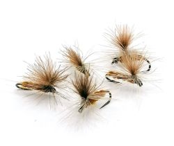 Callibaetis Dun Parachute #16