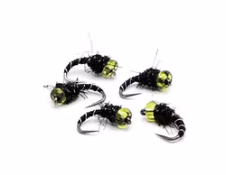 Zebra Midge Pupa Olive #18