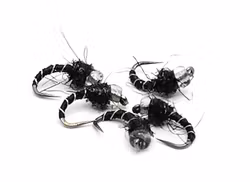Zebra Midge Pupa Black #18
