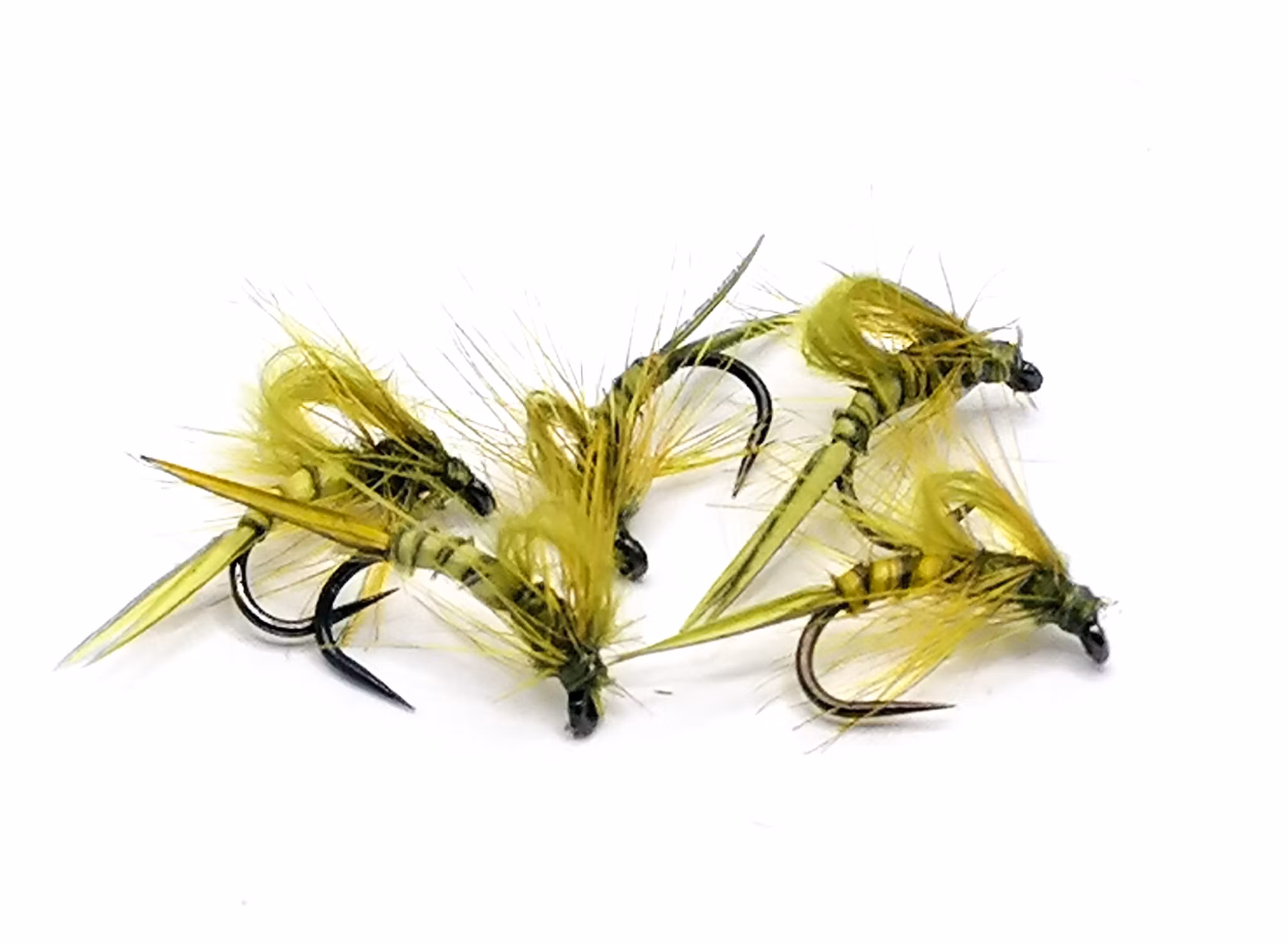 Kläckare Olive #16