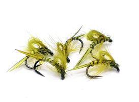 Kläckare Olive #16