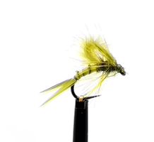 Kläckare Olive #16