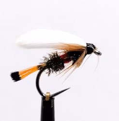 Royal Coachman #12