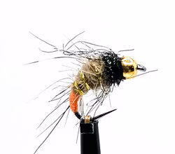 Buggy Pupa BH Gold #14