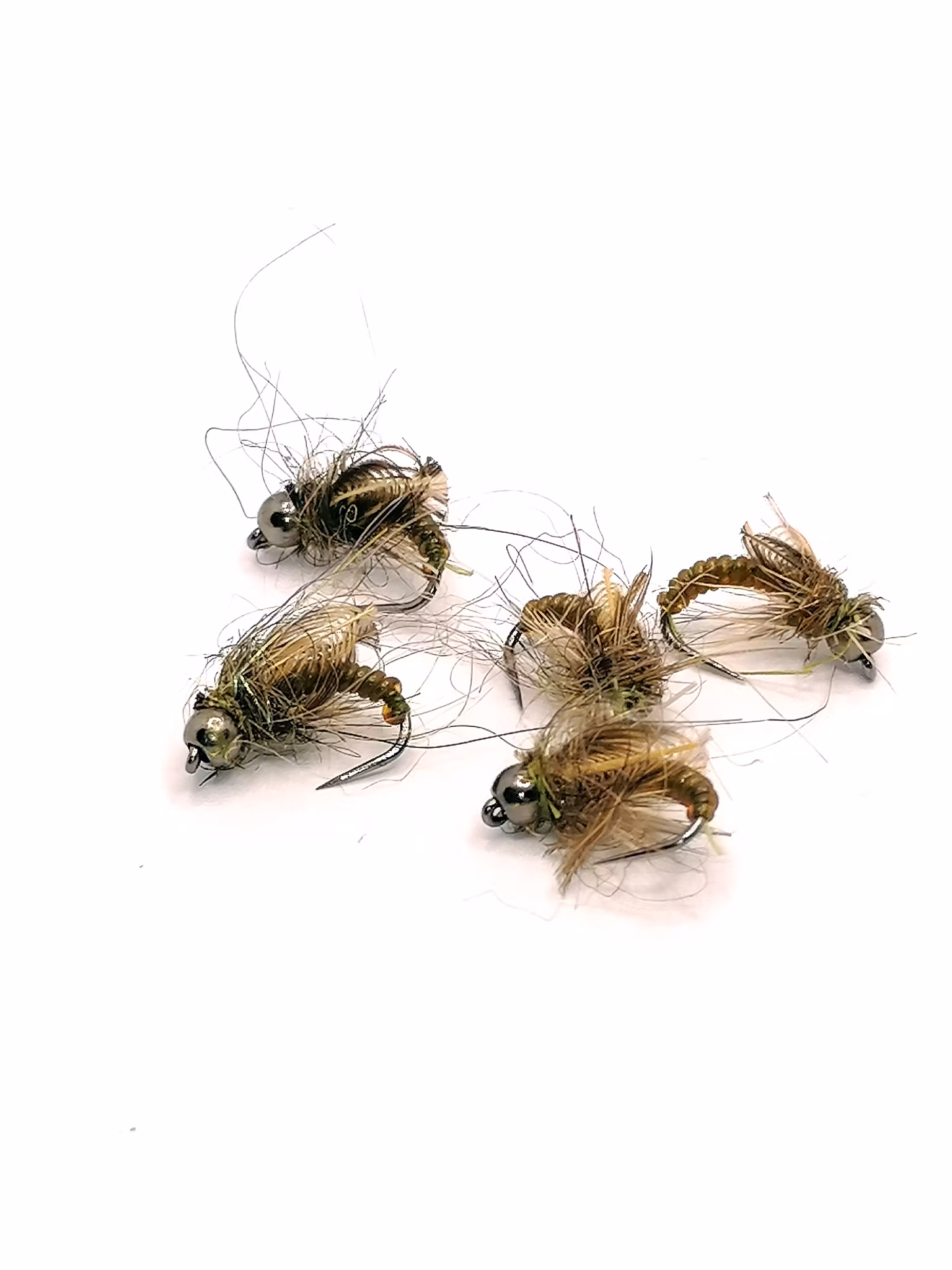 Caddies Pupa Brown BH  #14