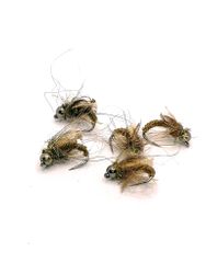 Caddies Pupa Brown BH  #14