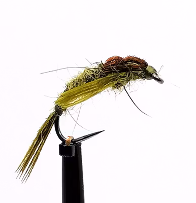 Bäckslända Dark Olive #12