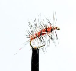 Crazy Palmer