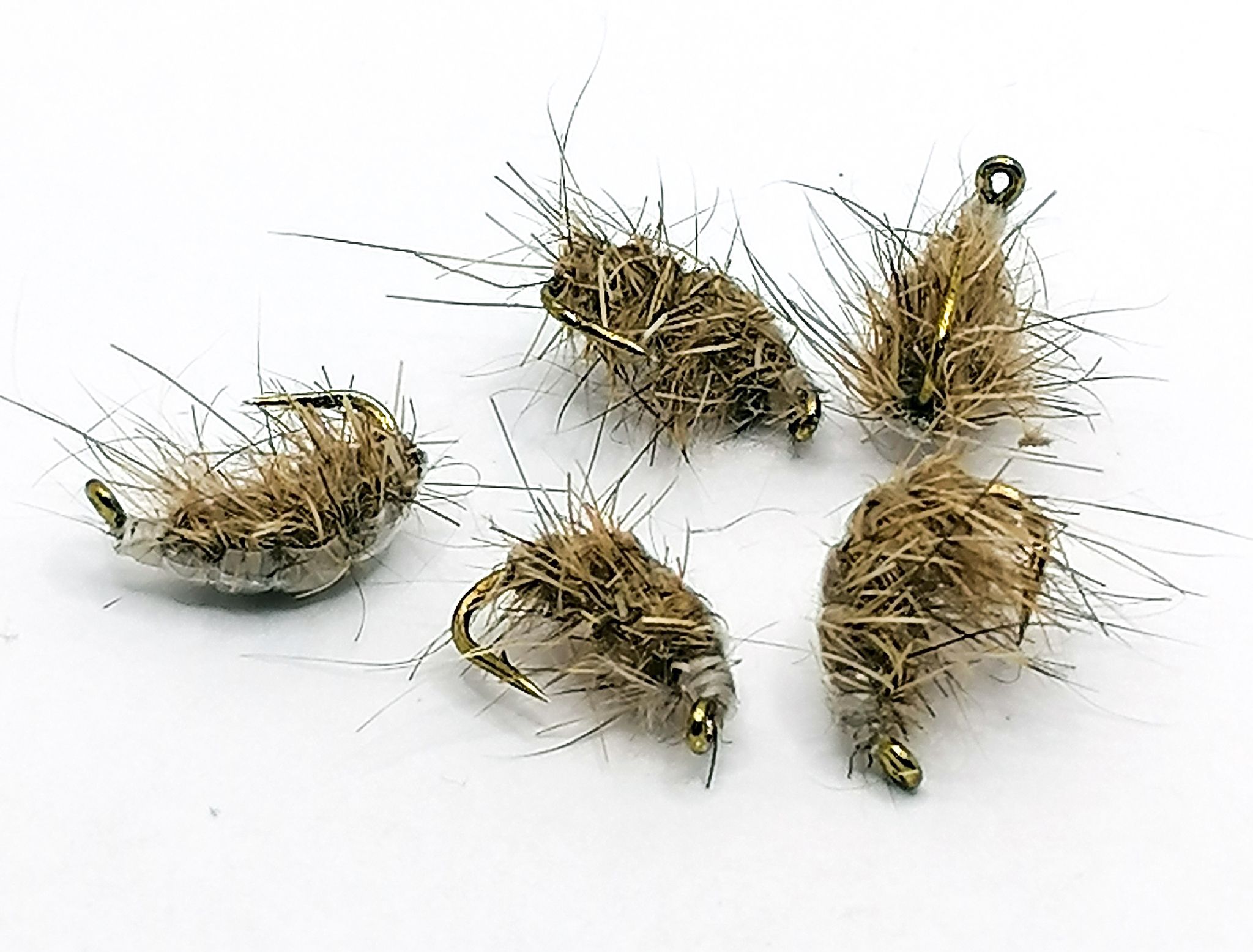 Scud pupa #14