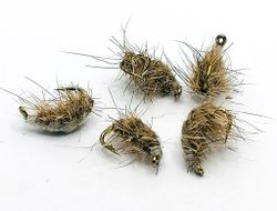 Scud pupa #14