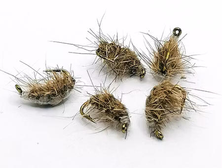 Scud pupa #14