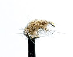 Scud pupa #14