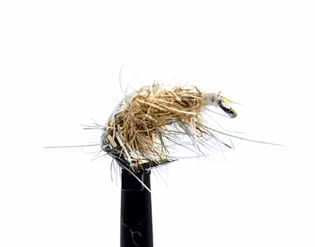 Scud pupa #14