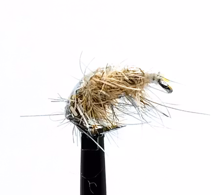Scud pupa #14