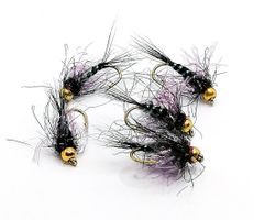 Sparkling Pupa med guldskalle #14