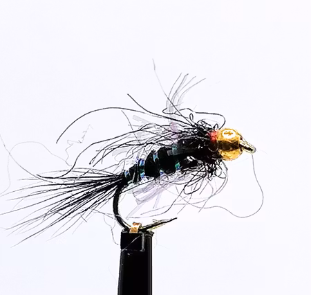 Sparkling Pupa med guldskalle #14