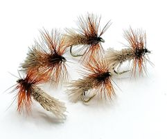 Goddard Caddis