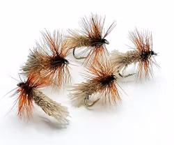 Goddard Caddis