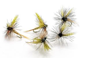 American March Brown #14